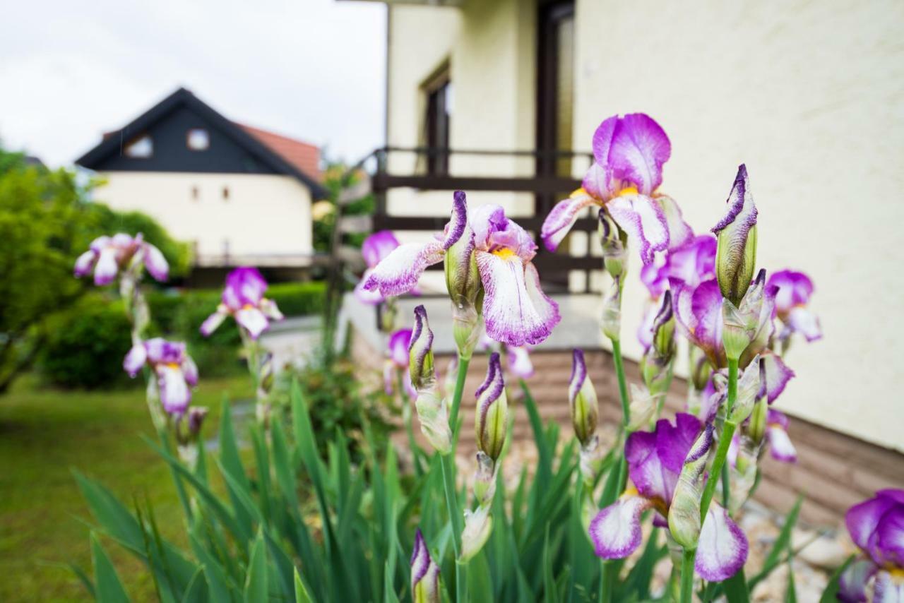 Apartma Ela Bled Bagian luar foto